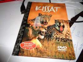 Afrikan isot kissat-dvd Natural killers pedot lähikuvassa