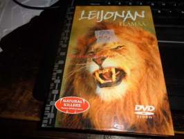 DVD Leijonan elämää 50 MIN