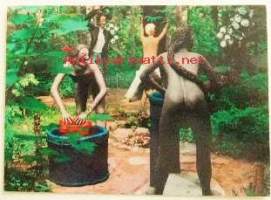 Postikortti Patsaspuisto, Parikkala, Koitsanlahti (15 x 10 cm)