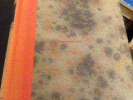 Markkinat kissapotissa