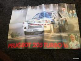 VM keskiaukeamajuliste - Peugeot 205 Turbo - Ari Vatanen