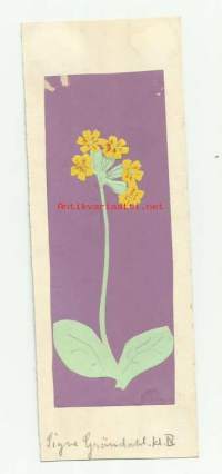 Kukkia paperileikkaustyö   sign Signe Gröndahl  , 22x8 cm kehystämätön