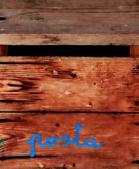 Ananasa käämä #22