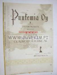 Puukemia Oy -osakekirja